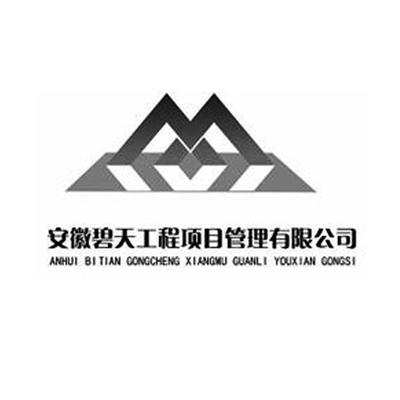 安徽碧天工程項(xiàng)目管理 引領(lǐng)卓越工程管理服務(wù)